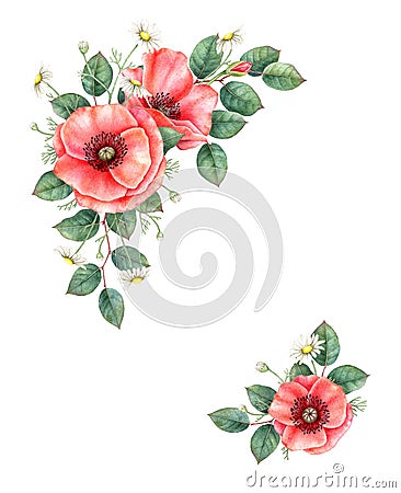 Poppy and chamomille floral composition. Hand drawn watercolor illustration. Cartoon Illustration