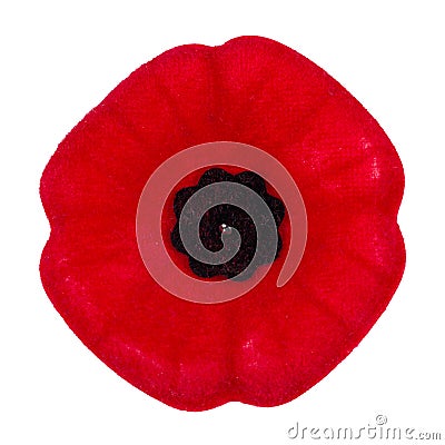 Poppy Stock Photo