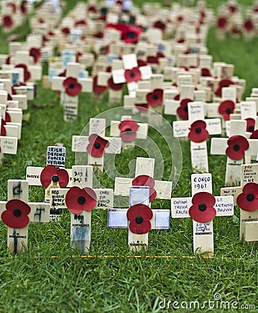 Poppy day Editorial Stock Photo