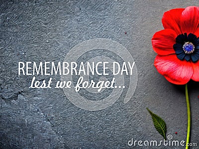 Poppy Day concept. Remembrance Day - Lest We Forget Stock Photo