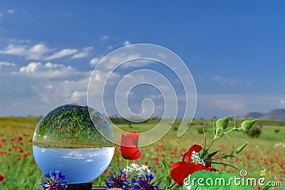 Poppy fields,flowers and crystal quartz Stock Photo