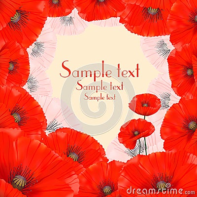 Poppy Floral Frame background Vector Illustration