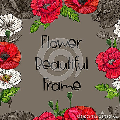 Poppy flower beautiful frame-vector Vector Illustration