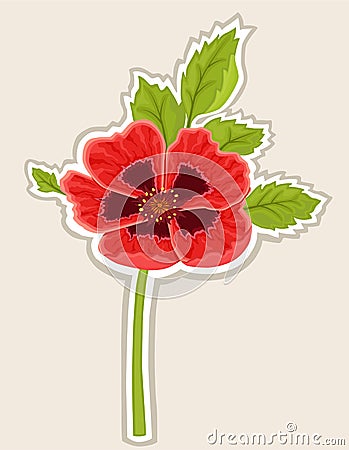 Poppy flower card Vector Illustration