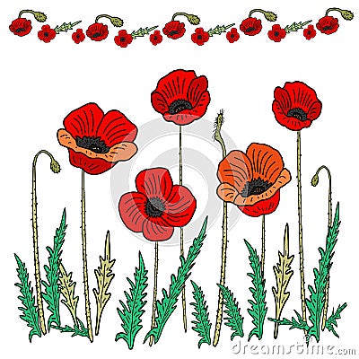 Poppy flower set. Vector illustration. Hand drawing in the style of doodling Cartoon Illustration