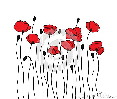 Poppy flowers and buds. Floral pattern in black and red. Vector Illustration