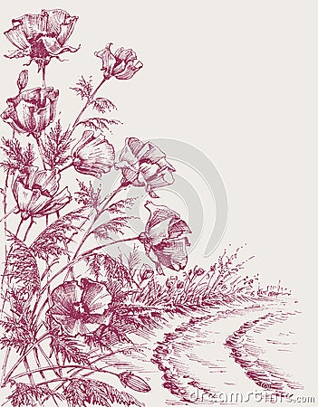 Poppy flowers on the road Vector Illustration