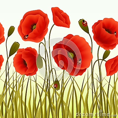 Poppy grass seamless wallpaper Cartoon Illustration