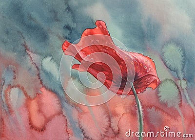 Poppy with rain drops watercolor Cartoon Illustration