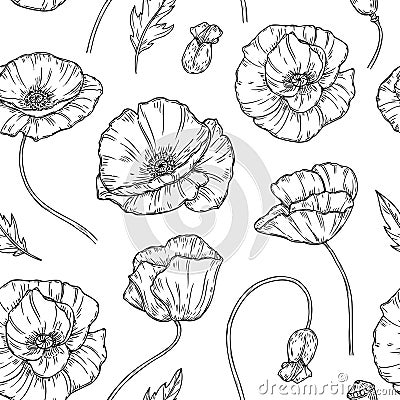 Poppy seamless pattern. Poppies flower sketch drawing wall artwork plant poppy flower bud planting floral nature vector Vector Illustration