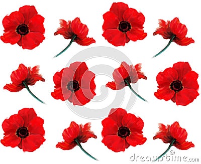 Poppy seamless pattern Stock Photo