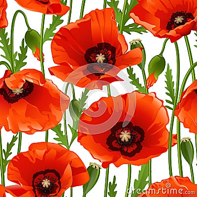 Poppy seamless pattern Vector Illustration