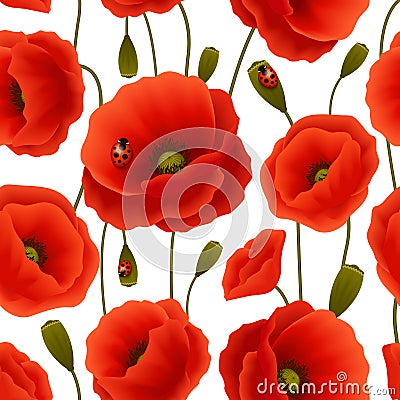 Poppy seamless pattern Cartoon Illustration