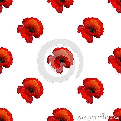 Poppy seamless pattern Vector Illustration