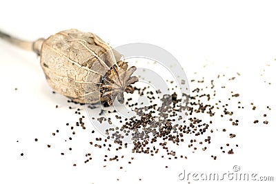 Poppy seed Stock Photo