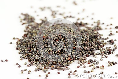 Poppy seed Stock Photo