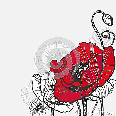Poppy vector frame card flower red black Stock Photo