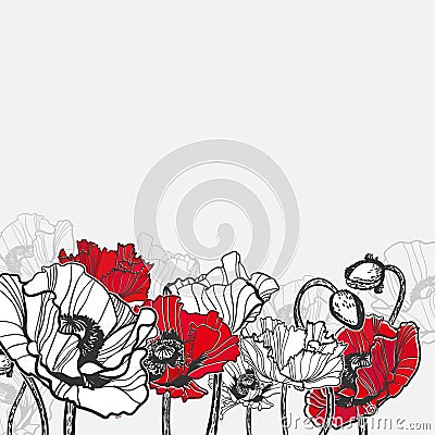 Poppy vector frame card flower red black Stock Photo