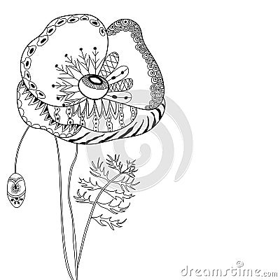 Poppy. Vector Illustration. Vector Illustration