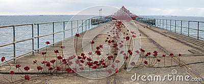 Poppy Wave at Southend-On-Sea Editorial Stock Photo