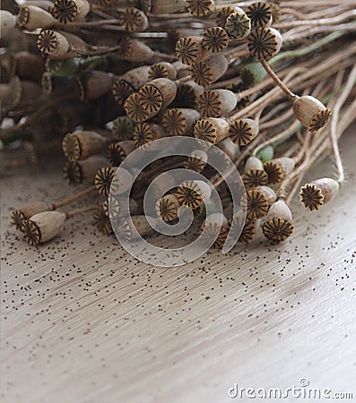 Poppyheads on wooden table Stock Photo