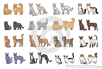Popular cat breeds face and profile. Vector set contour sketch isolated illustration. Vector Illustration