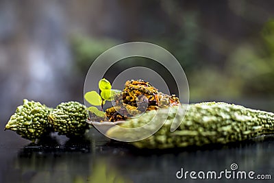 Popular dish for serving in lunch i.e. Bitter gourd with spices and vegetables on wooden surface in a glass plate with raw karela, Stock Photo
