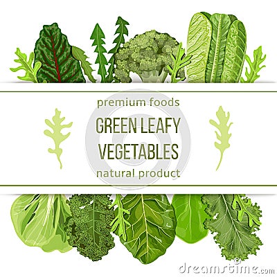 Popular Green leafy vegetables. Label set with text on stripe. text, copt space. farm fresh Spinach, Dandelion, broccoli Vector Illustration