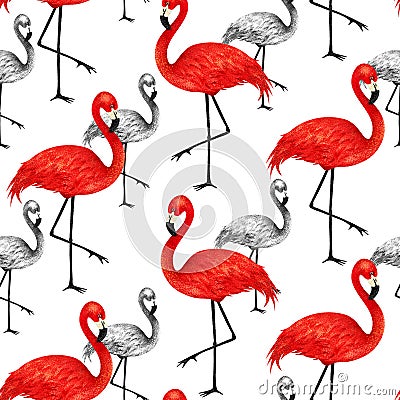 Popular modern style print with red and black flamingo. Trendy s Stock Photo