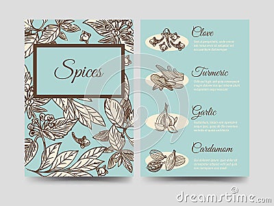 Popular spice vintage flyers template Vector Illustration