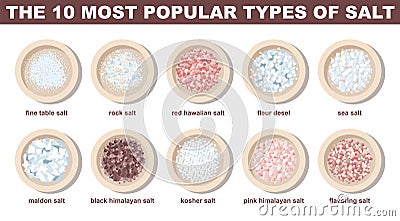 Popular types of salt set. White, pink, red and black salt in a bowl Vector Illustration