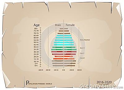 2016-2020 Population Pyramids Graphs with 4 Generation Vector Illustration