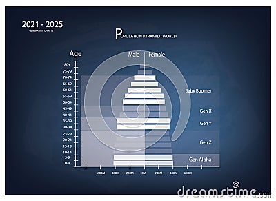 2021-2025 Population Pyramids Graphs with 5 Generation Vector Illustration