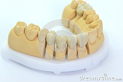 Porcelain teeth Stock Photo