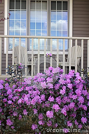 Porch with rhododendrons Stock Photo