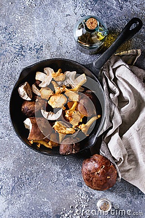 Porcini boletus and chanterelles mushrooms Stock Photo