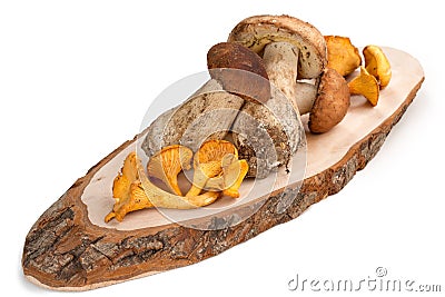 Porcini and chanterelles on cutting board Stock Photo
