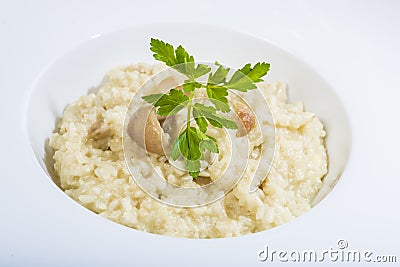 Porcini mushroom risotto Stock Photo