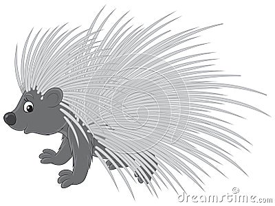 Porcupine Vector Illustration