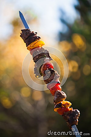 Pork barbecue Stock Photo