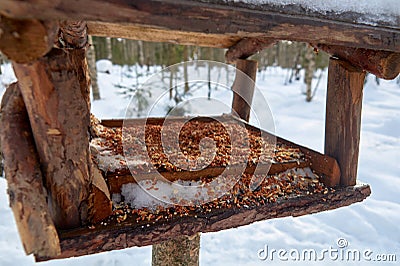 Pork barbecue on the grillbird feeder in the forest in the open air Stock Photo