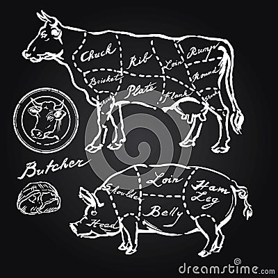 Pork and beef cuts Vector Illustration