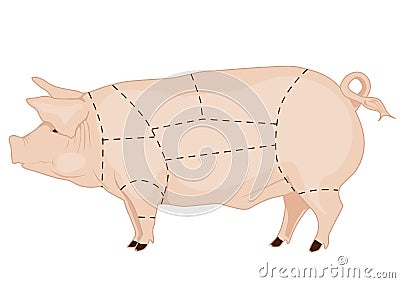 Pork chart Stock Photo