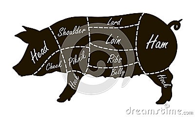 Pork cuts butcher diagram Vector Illustration