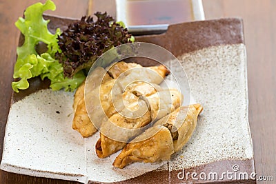 Pork Gyoza on Wooden table Stock Photo