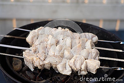 Pork, skewered, grilled, picnic concept, rest day Stock Photo