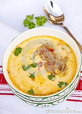 Pork soup with sour cream Stock Photo