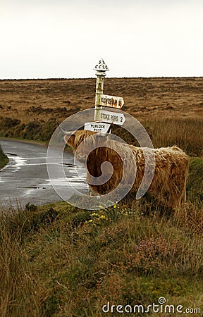 Porlock Post Exmoor Stock Photo