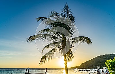 PoroMari palm tree Sunset Beach Curacao views Editorial Stock Photo