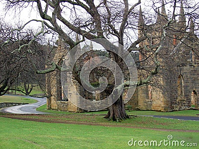 Haunting Atmosphere Stock Photo